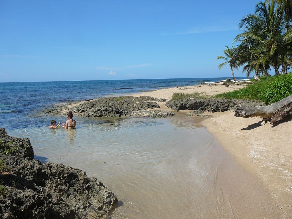 Casa Lina Sloth View Exotic Apartment With Privat Kitchen Puerto Viejo de Talamanca 部屋 写真