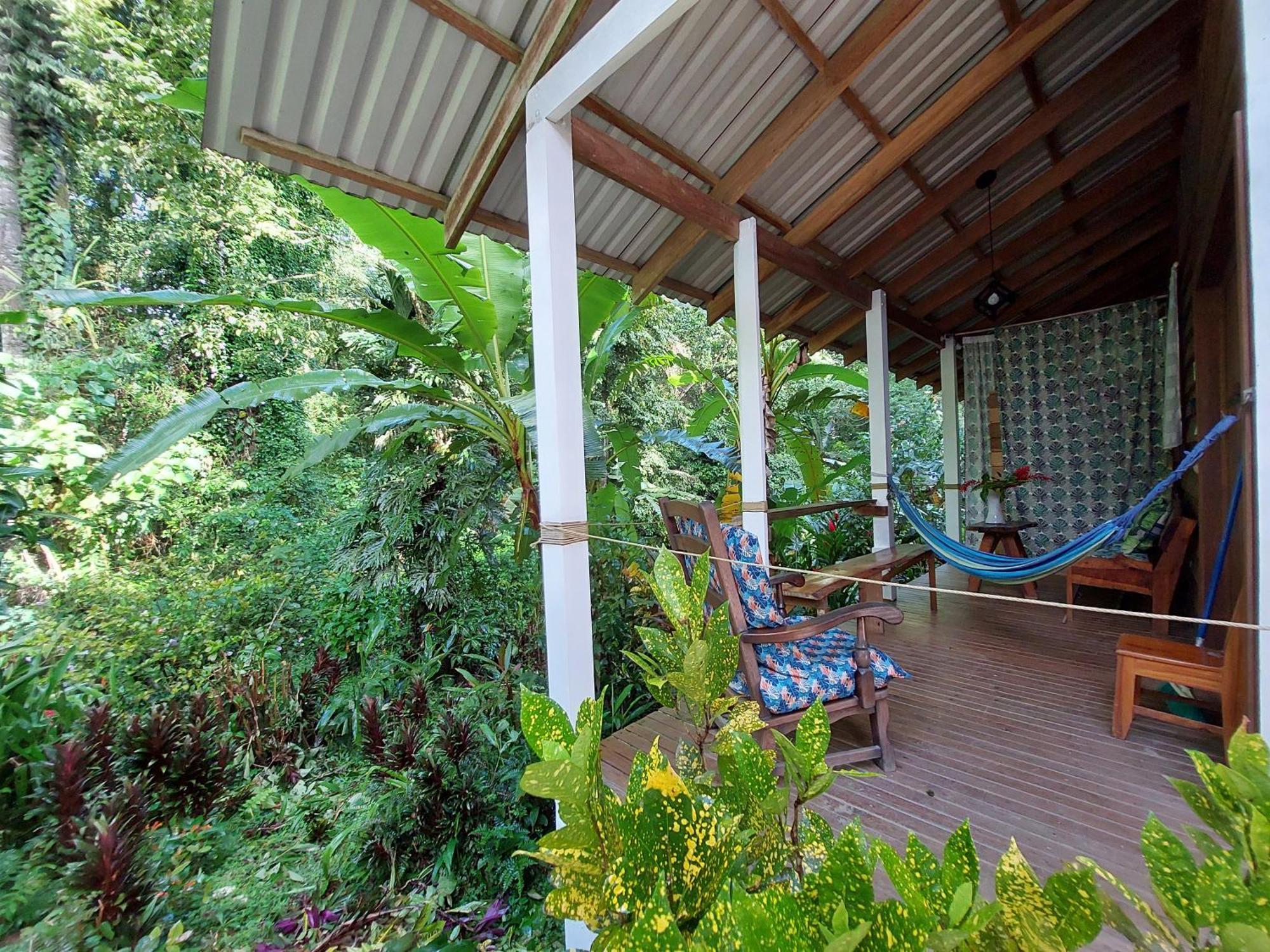 Casa Lina Sloth View Exotic Apartment With Privat Kitchen Puerto Viejo de Talamanca エクステリア 写真