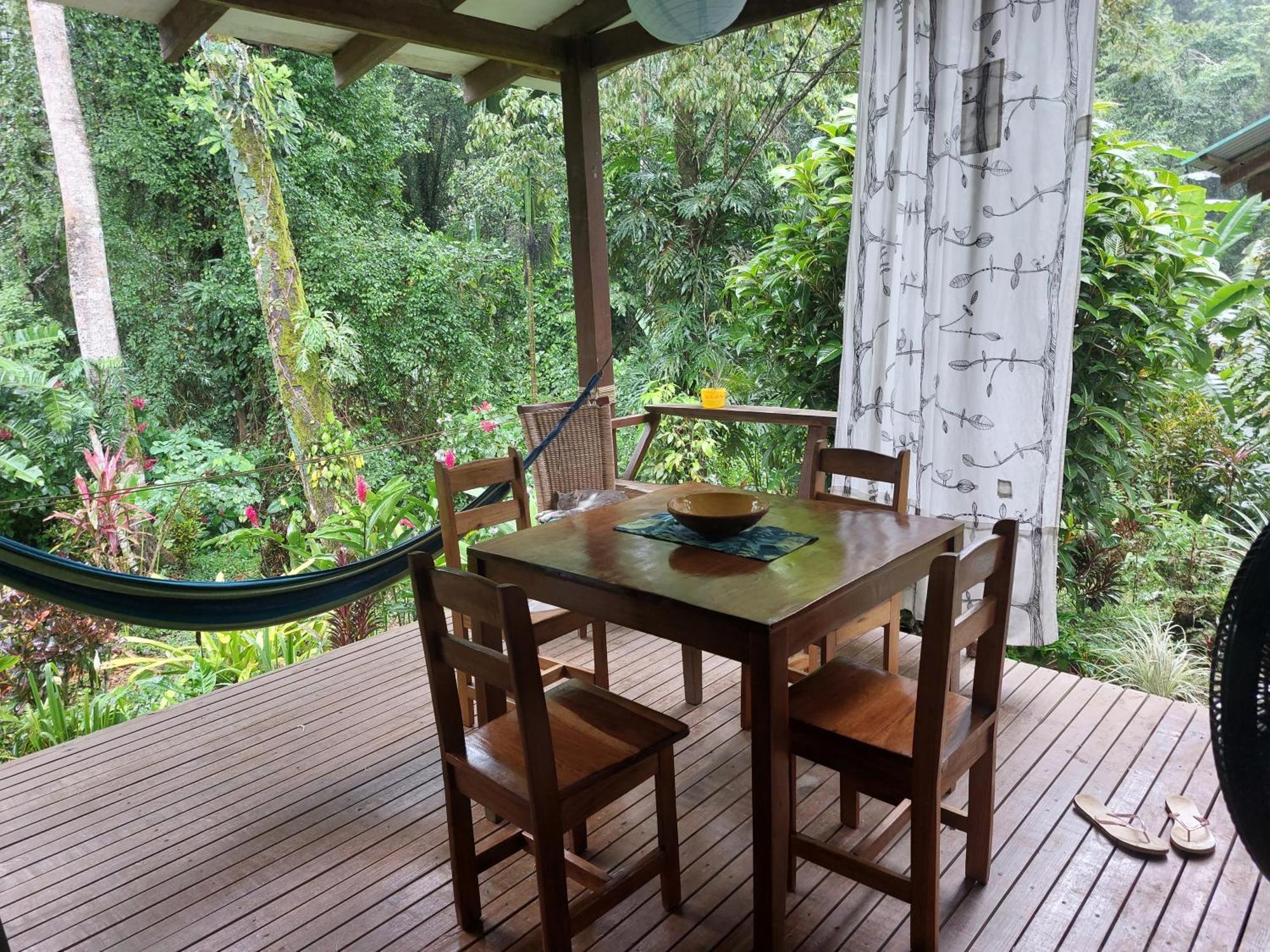 Casa Lina Sloth View Exotic Apartment With Privat Kitchen Puerto Viejo de Talamanca エクステリア 写真