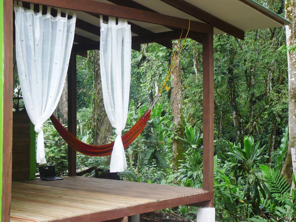 Casa Lina Sloth View Exotic Apartment With Privat Kitchen Puerto Viejo de Talamanca 部屋 写真