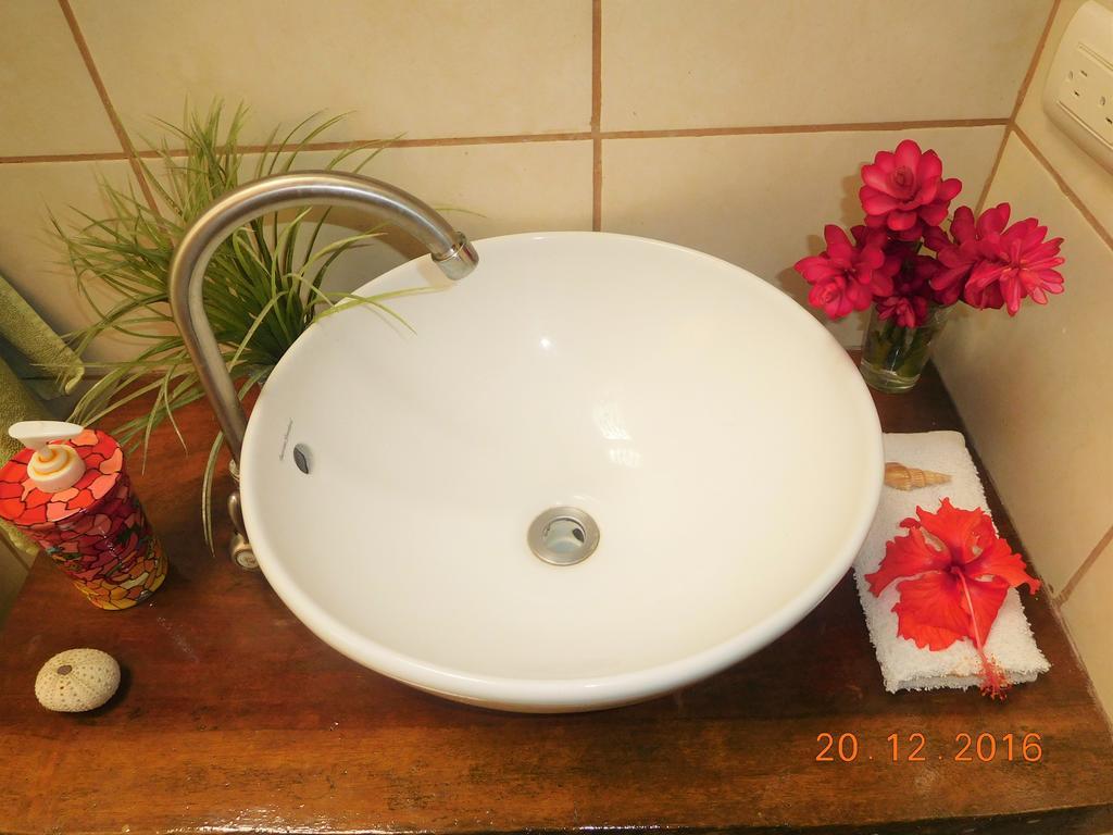 Casa Lina Sloth View Exotic Apartment With Privat Kitchen Puerto Viejo de Talamanca エクステリア 写真