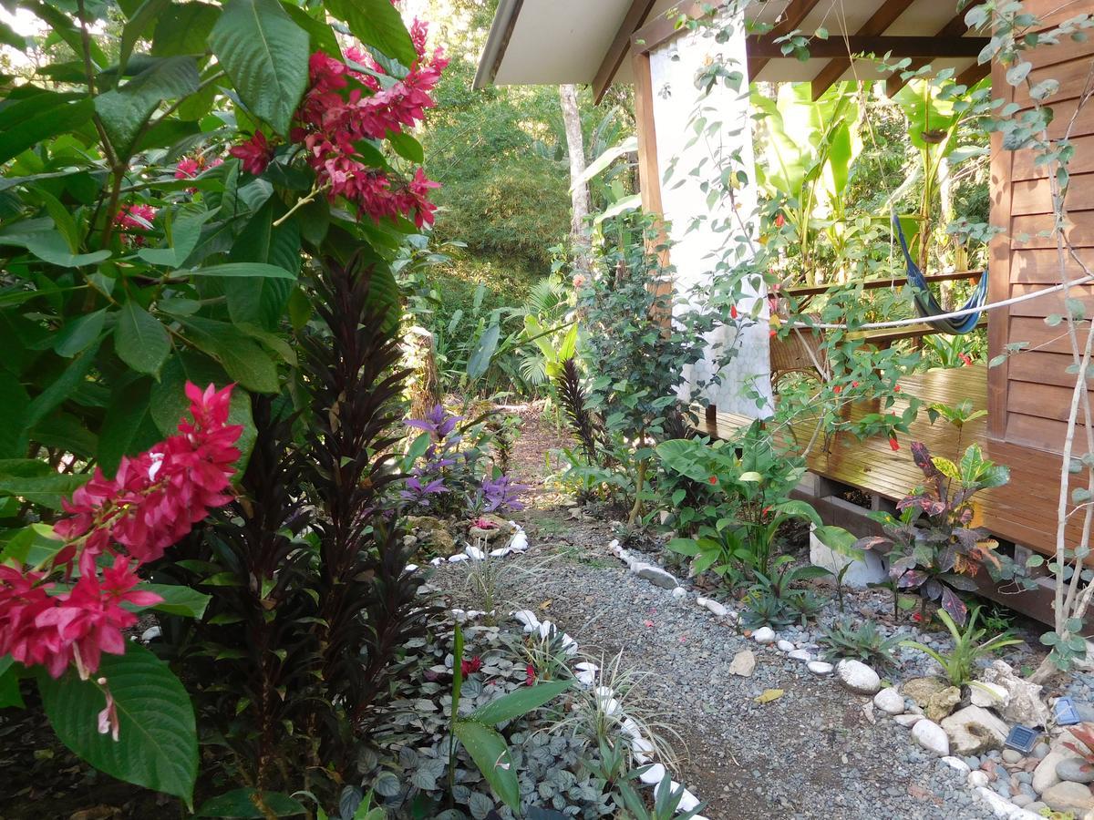 Casa Lina Sloth View Exotic Apartment With Privat Kitchen Puerto Viejo de Talamanca エクステリア 写真
