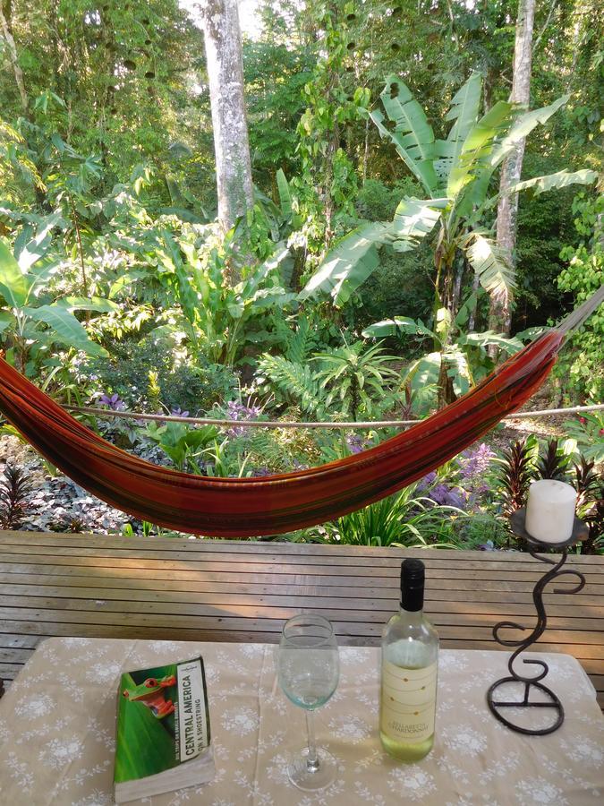 Casa Lina Sloth View Exotic Apartment With Privat Kitchen Puerto Viejo de Talamanca エクステリア 写真