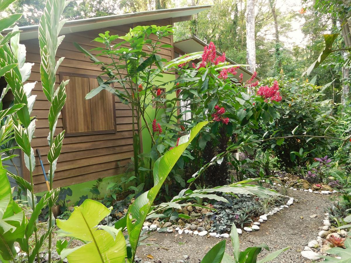 Casa Lina Sloth View Exotic Apartment With Privat Kitchen Puerto Viejo de Talamanca エクステリア 写真